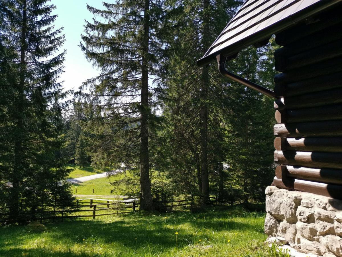 Chalet Stara Jelka Pokljuka Zgornje Gorje Exterior foto