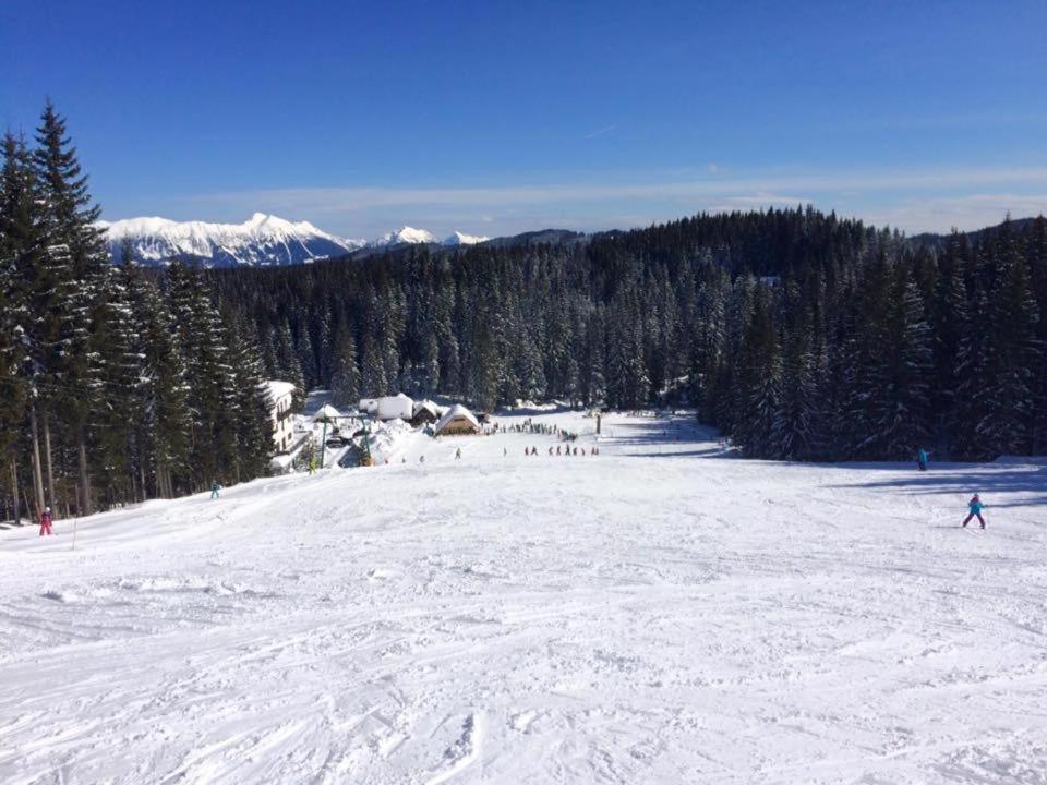 Chalet Stara Jelka Pokljuka Zgornje Gorje Exterior foto