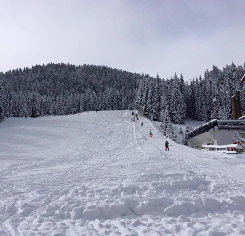 Chalet Stara Jelka Pokljuka Zgornje Gorje Exterior foto